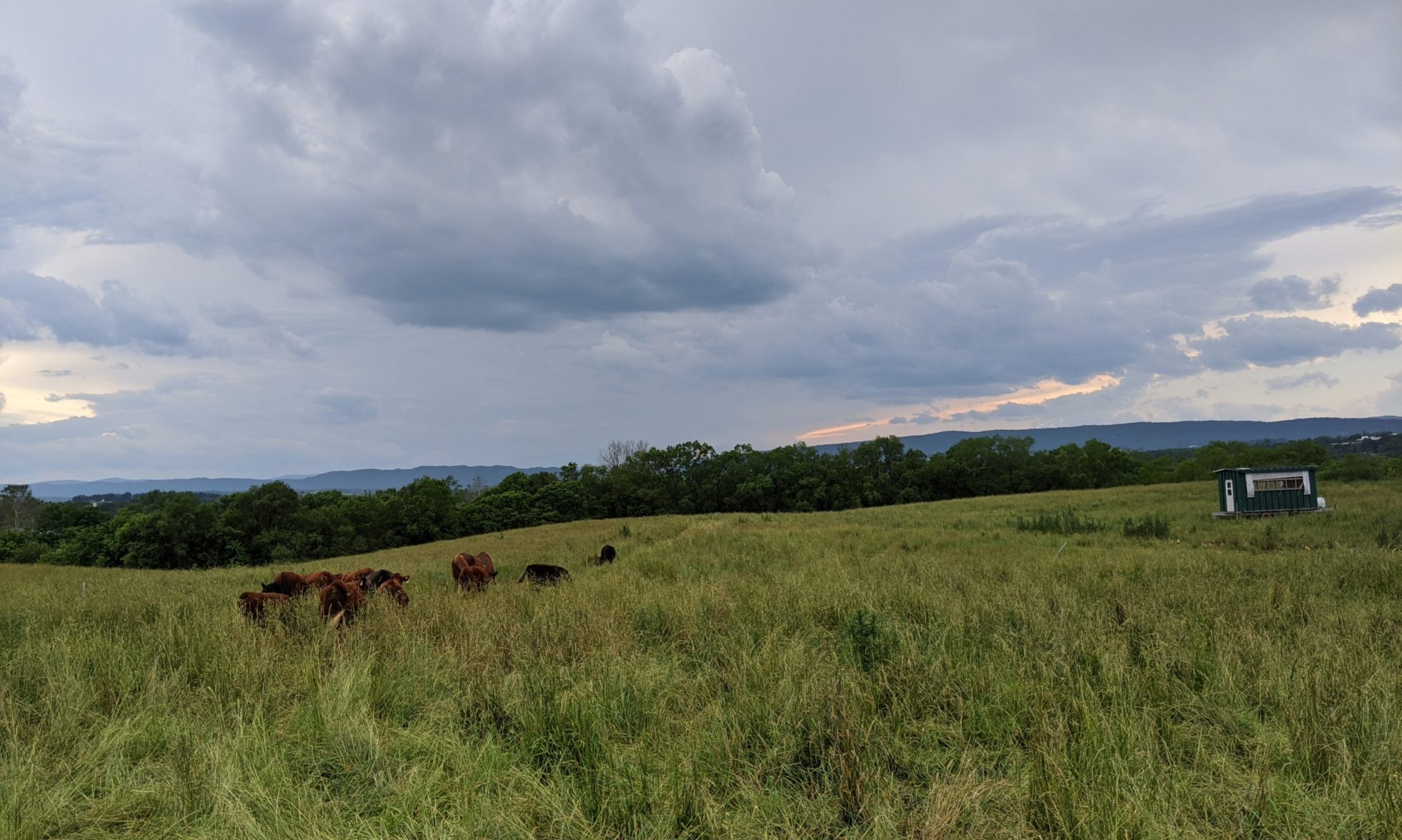 Good Plains Farm photo 7