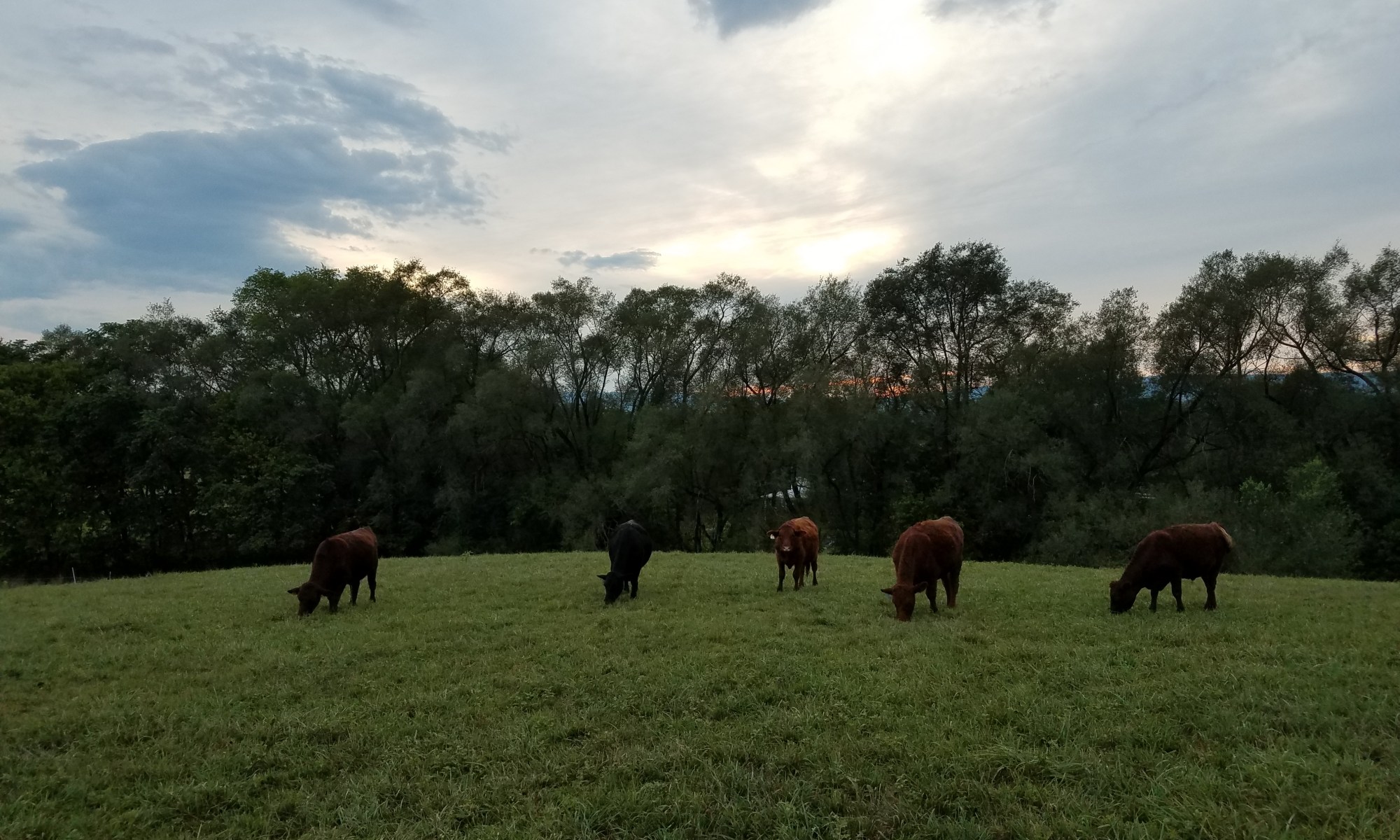 Good Plains Farm photo 6