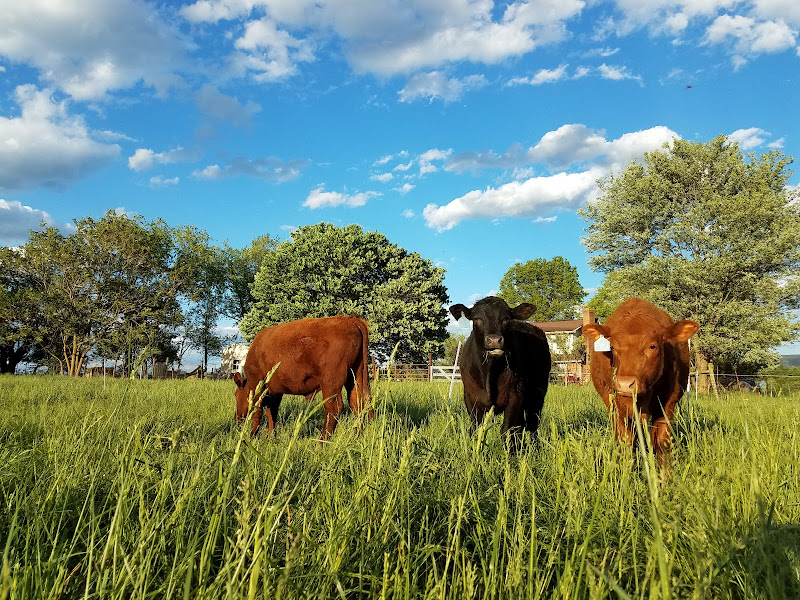 Good Plains Farm photo 2