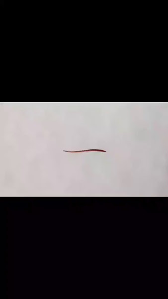 Good Plains Farm photo 5