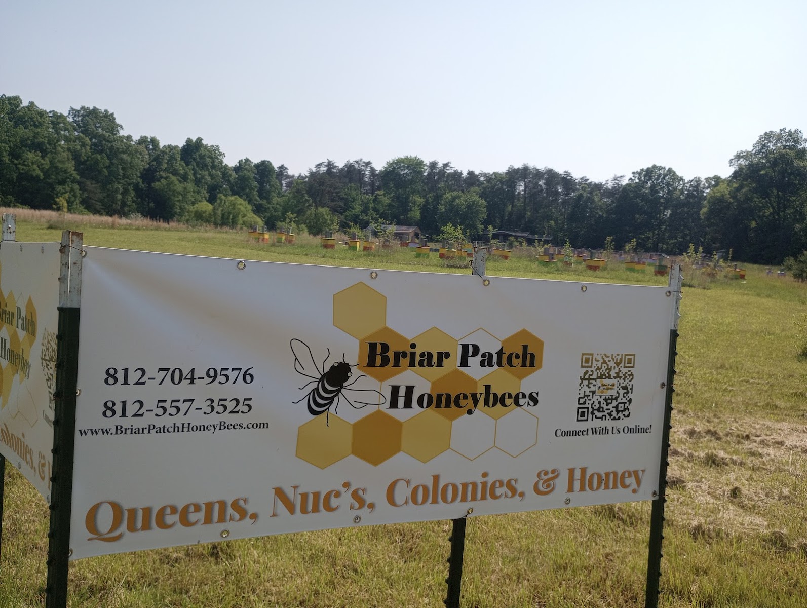 Middle Creek Honey photo 4