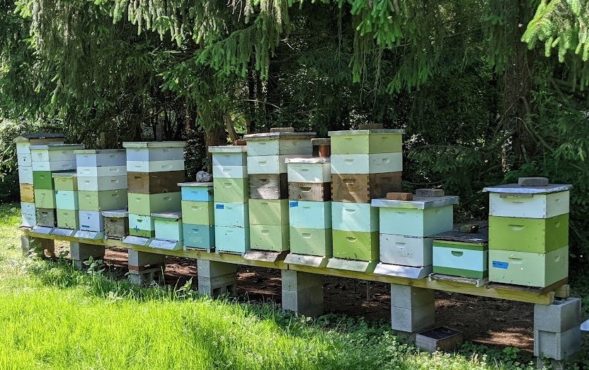 Middle Creek Honey photo 5