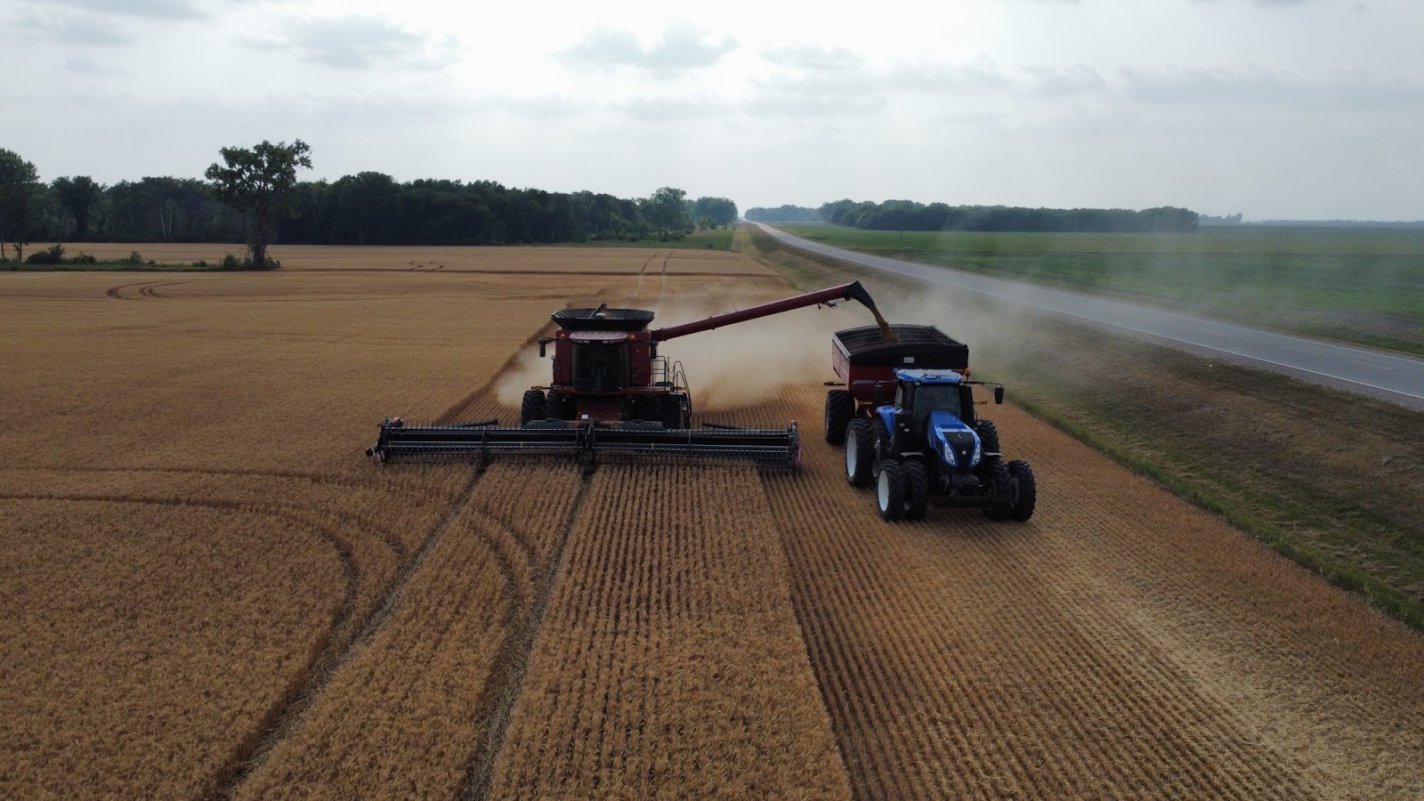 Crookston Farmers' Market Association photo 3