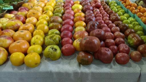 Groundswell Community Farm photo 2