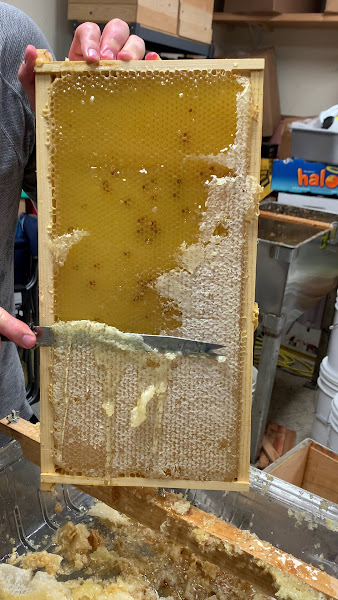 Sweet Prairie Honey photo 2