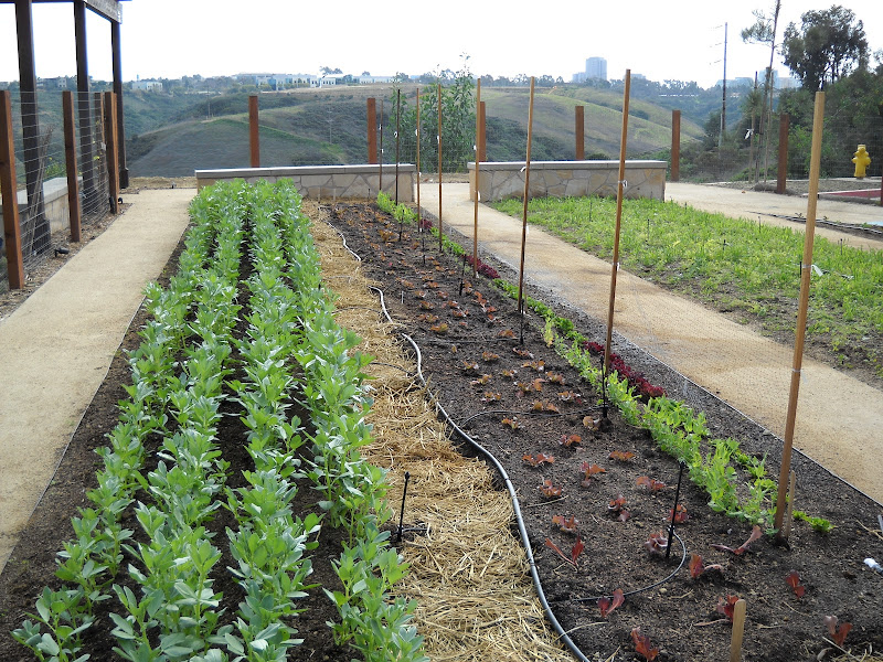 California Farm and Garden