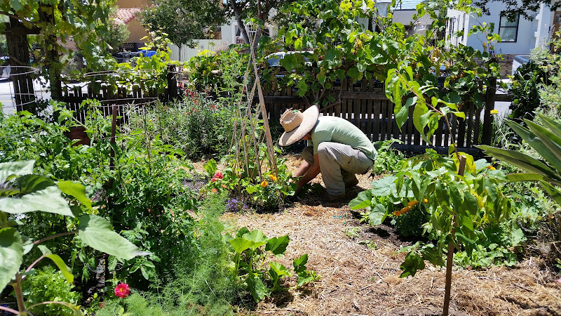 California Farm and Garden photo 5