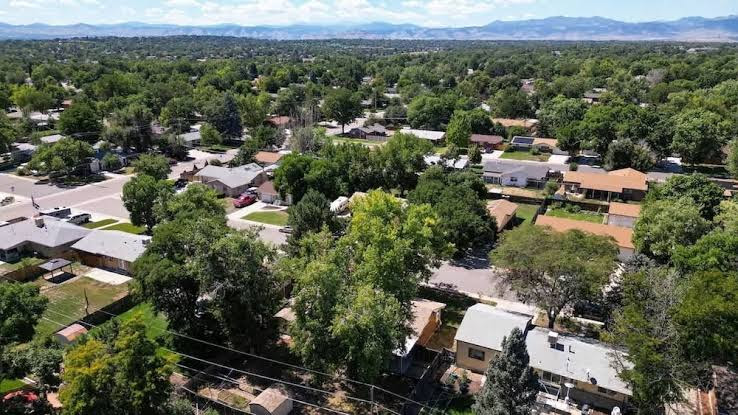 TP Ranch and Homestead – Water Buffalo Dairy – Westminster Pickup