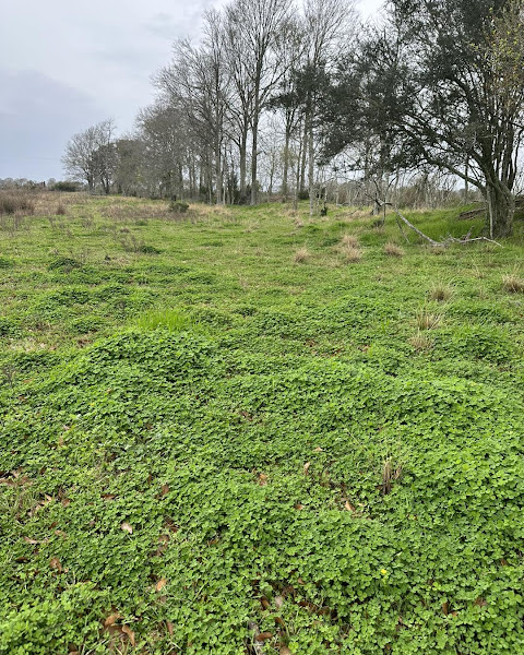 Brookshire Farm Grassfed Beef