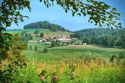The Creamery at Knob Farm photo 4