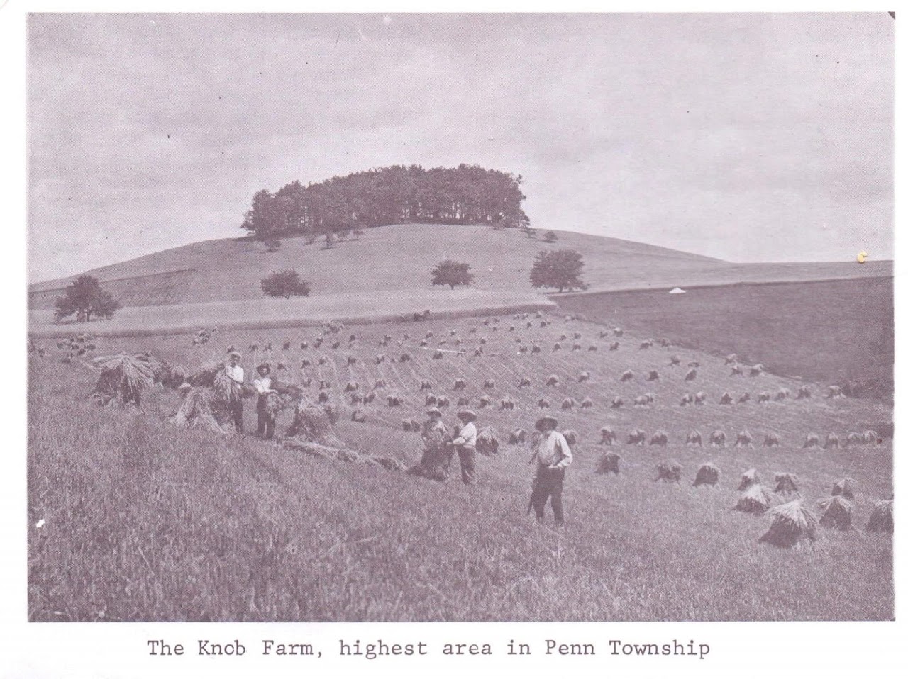 The Creamery at Knob Farm photo 3