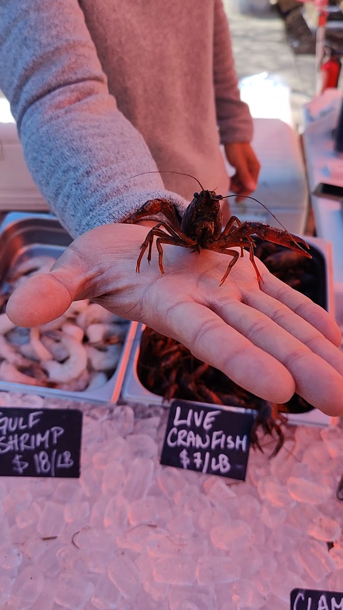 Alpharetta Farmer's Market photo 2