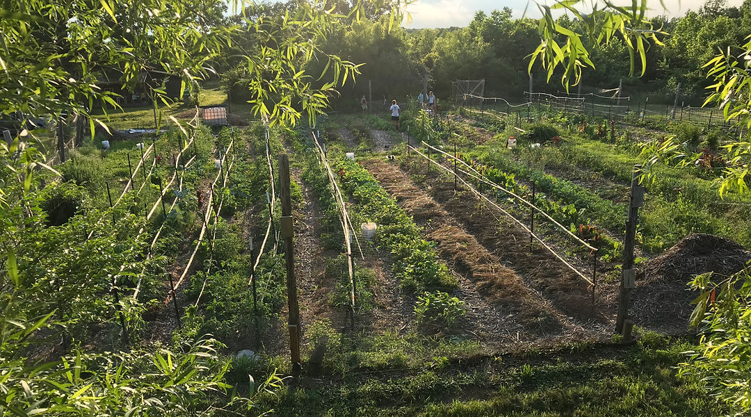Jimmy Acres Farmstand photo 10