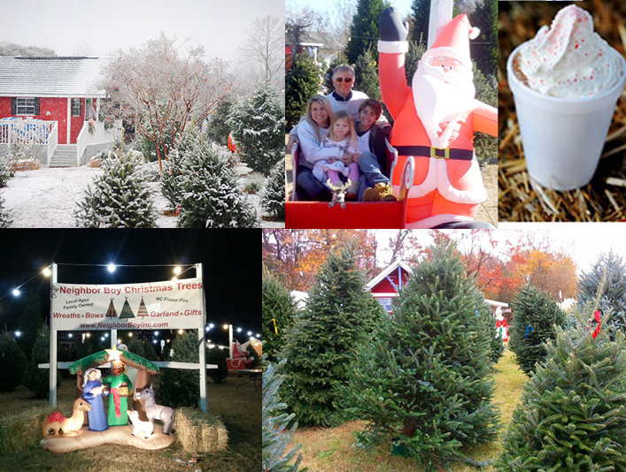 Neighbor Boy Farm and Country Store photo 2