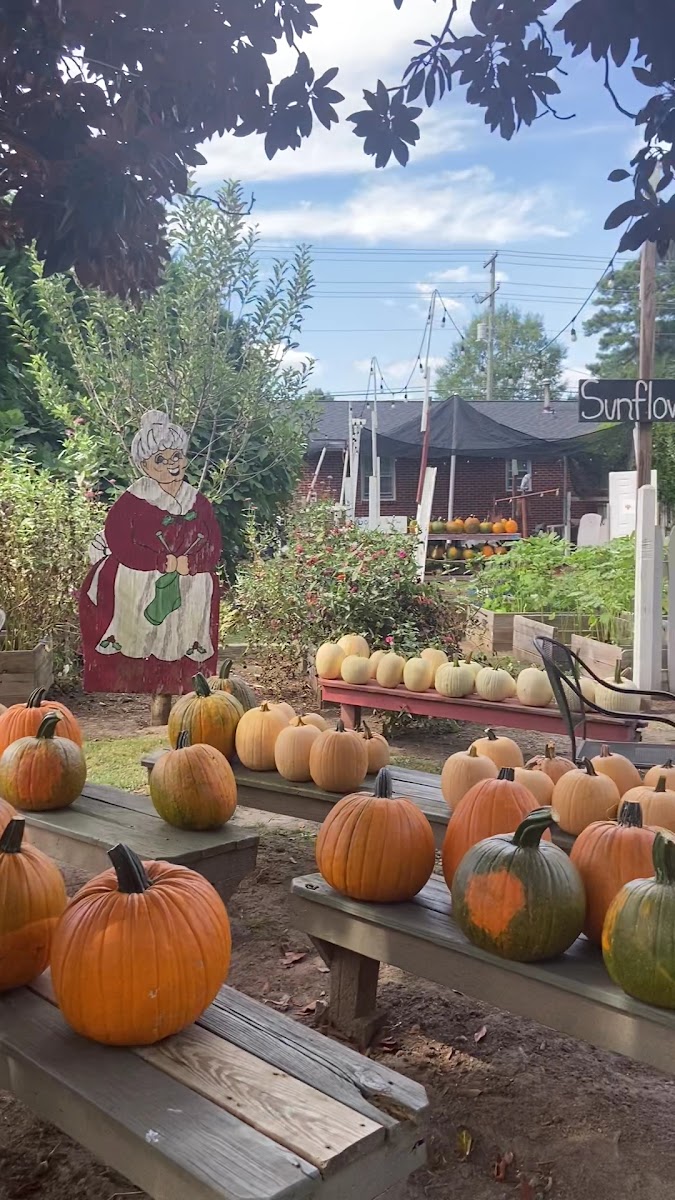 Neighbor Boy Farm and Country Store photo 4