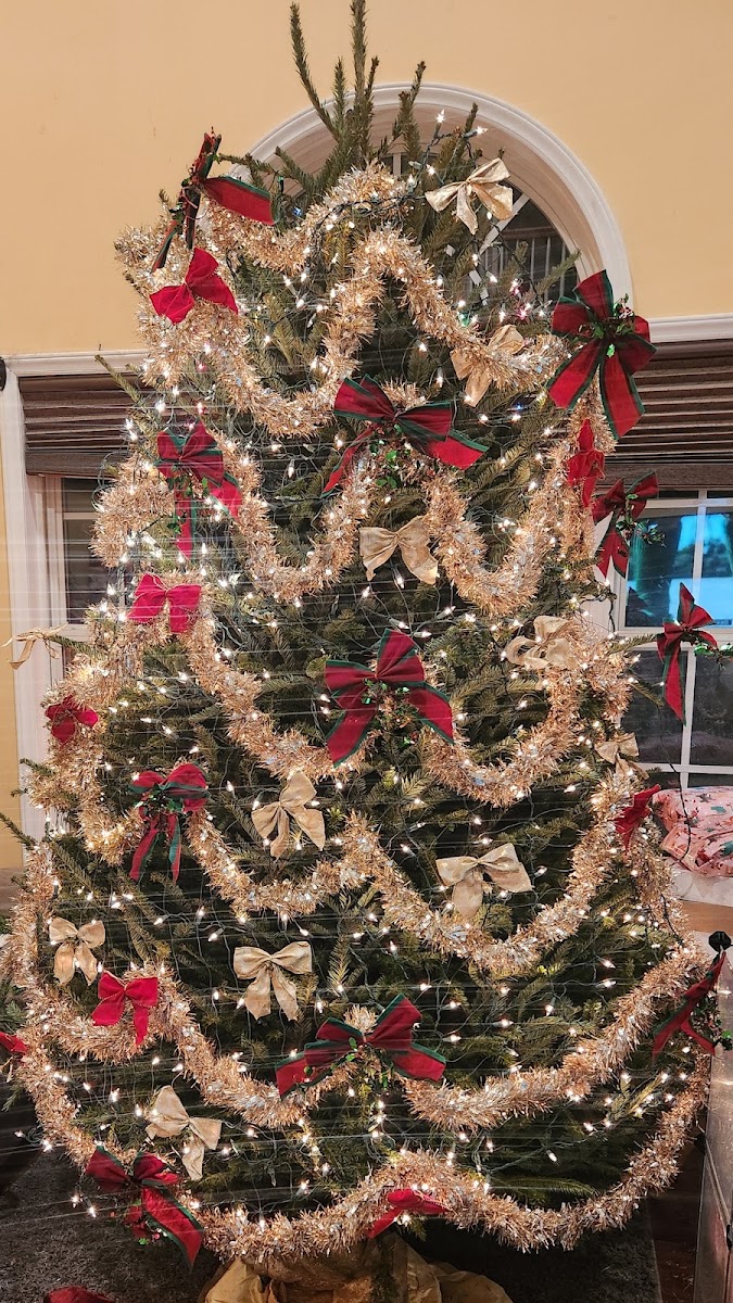 Neighbor Boy Farm and Country Store photo 5