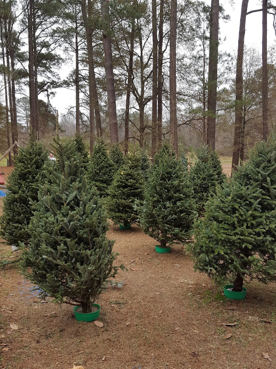 Neighbor Boy Farm and Country Store photo 7