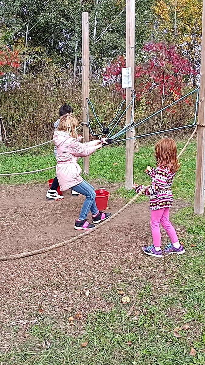 Leffel Roots Apple Orchard photo 3