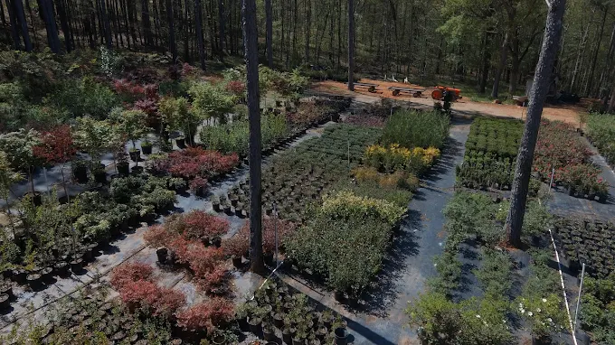 Post Oak Farms photo 3