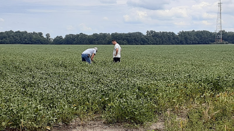 Jaybird Farms photo 5
