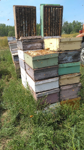 Montana Flour & Grains