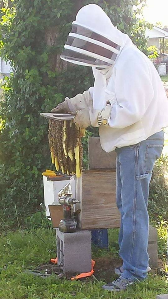 Burtons Bee Farm photo 4