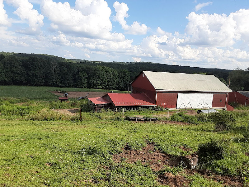 Savage Mountain Farm