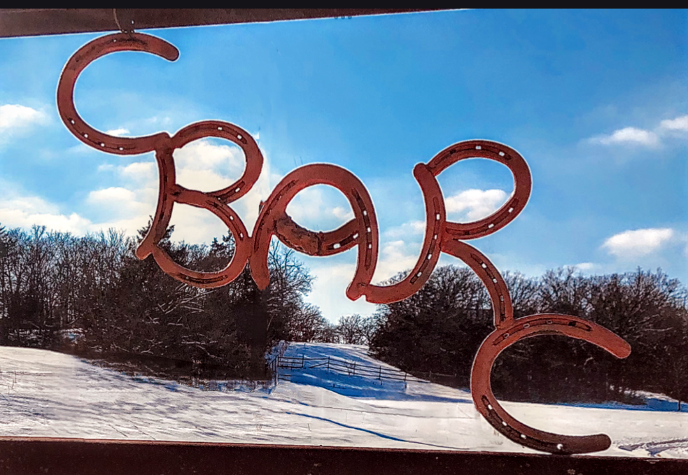 C-Bar-C Show Pigs photo 2