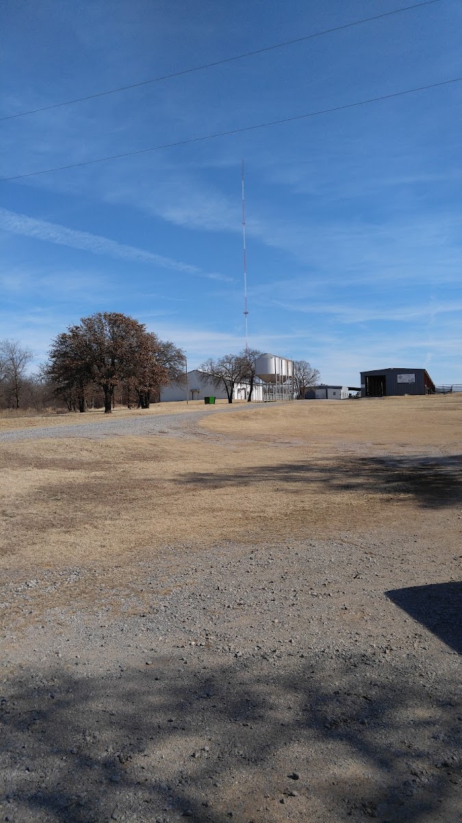 C-Bar-C Show Pigs photo 5