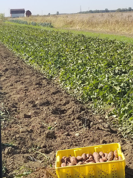 Goetz Greenhouse and Farm photo 2