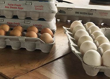 Pure Pasture Farms Store