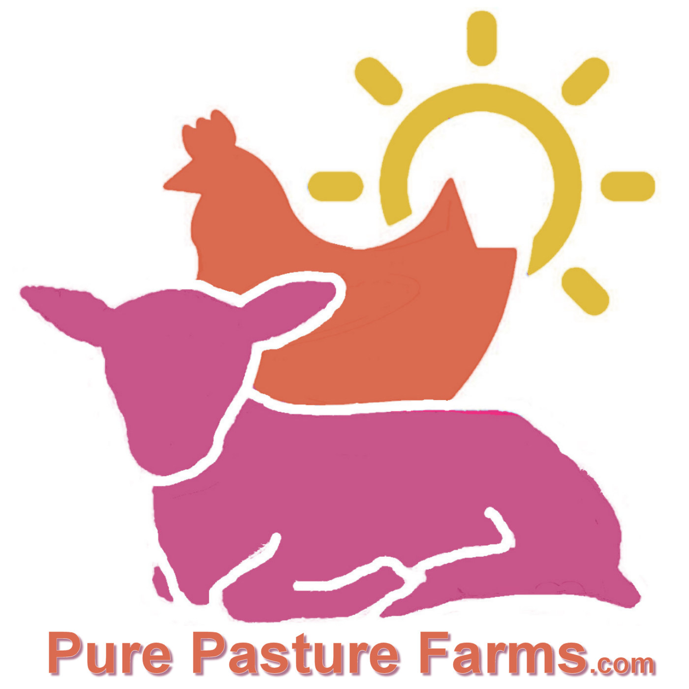 Pure Pasture Farms Store photo 6