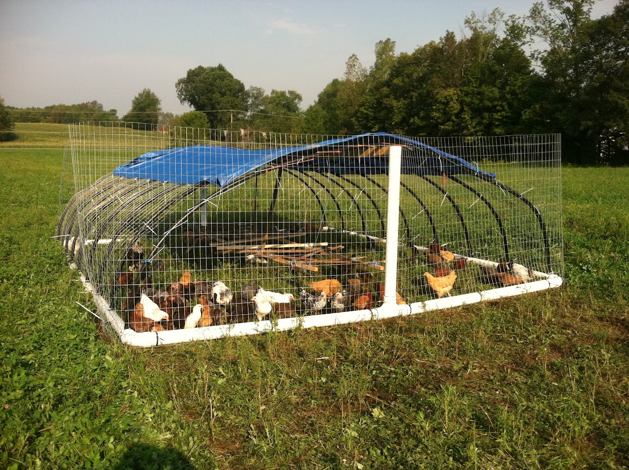 BlueLoon Farm photo 2
