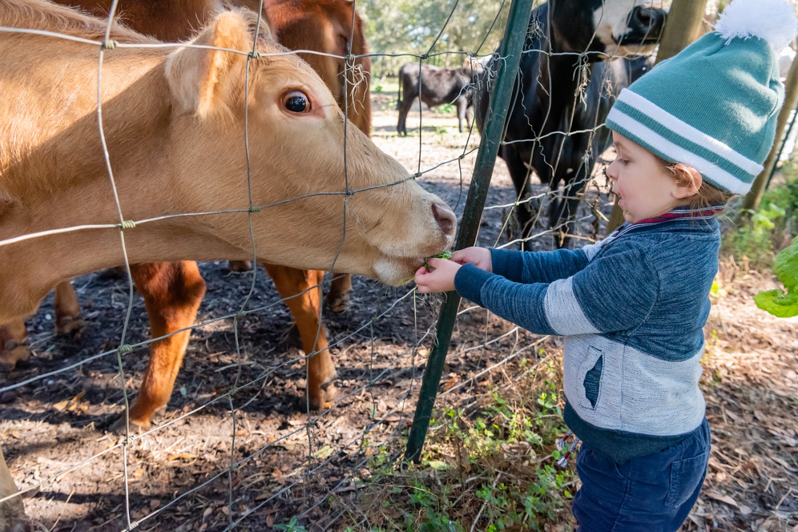 JG Ranch photo 4