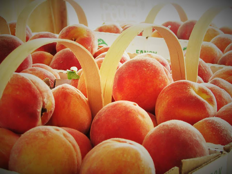 Krueger's Orchard photo 2