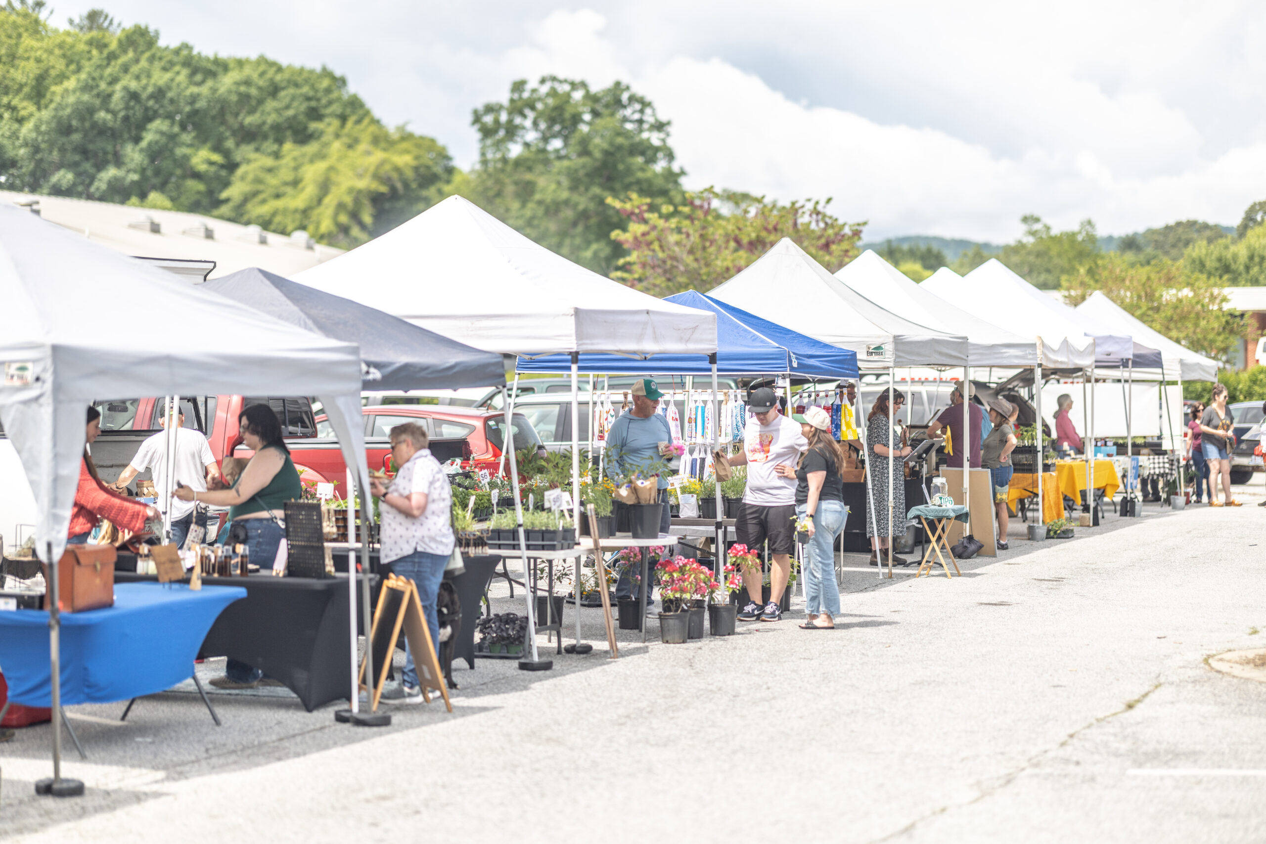 Mills River Farmers' Market