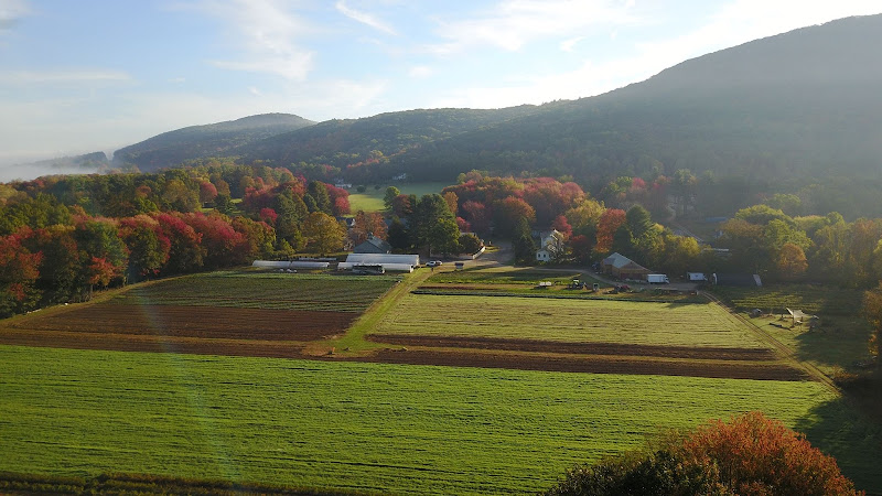 Mountain View Farm