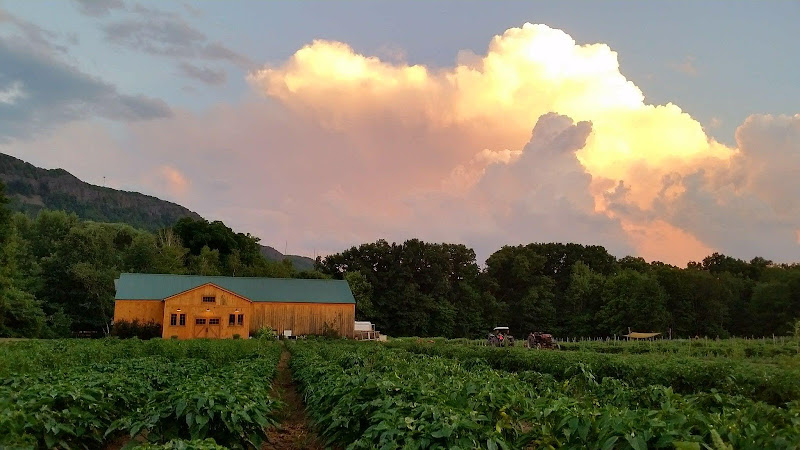 Mountain View Farm photo 2