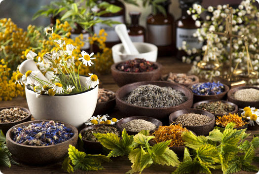 Lavender & Honey photo 2