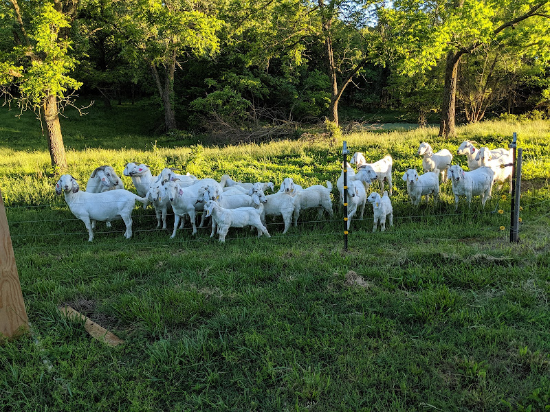 Alger Family Farm. LLC