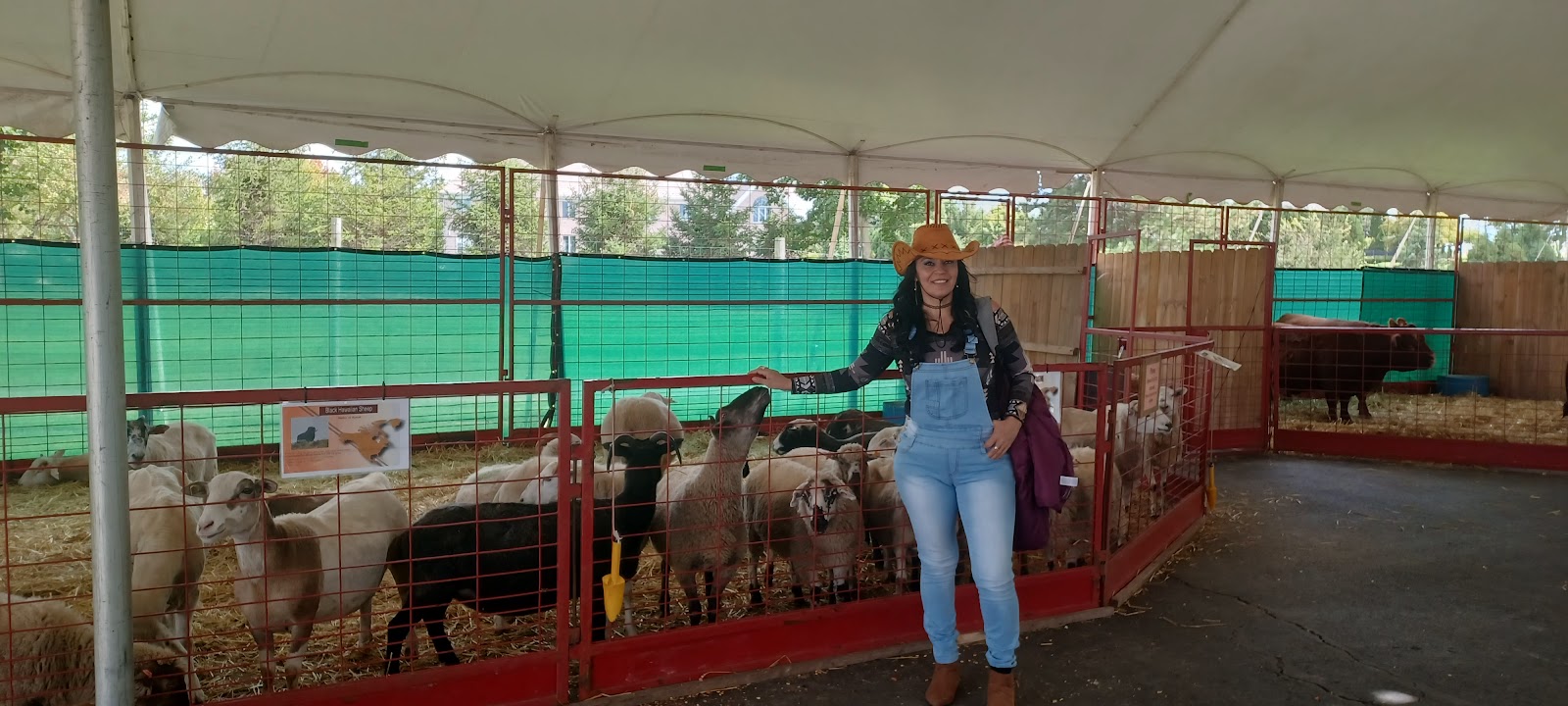 Barrington Village Farmers Market photo 2