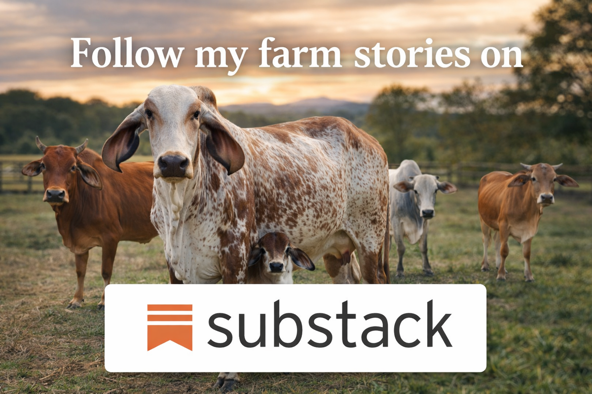 Green Family Farms of East Texas, LLC