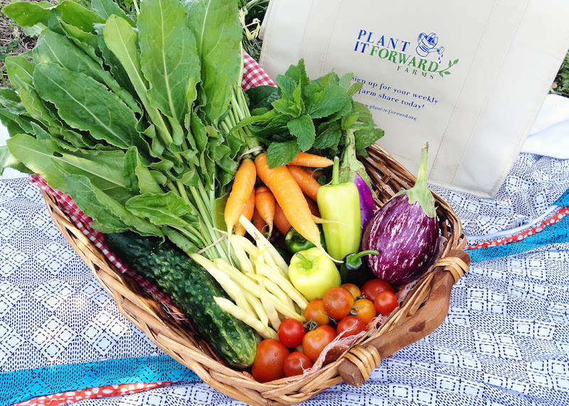 Plant It Forward Warehouse photo 10