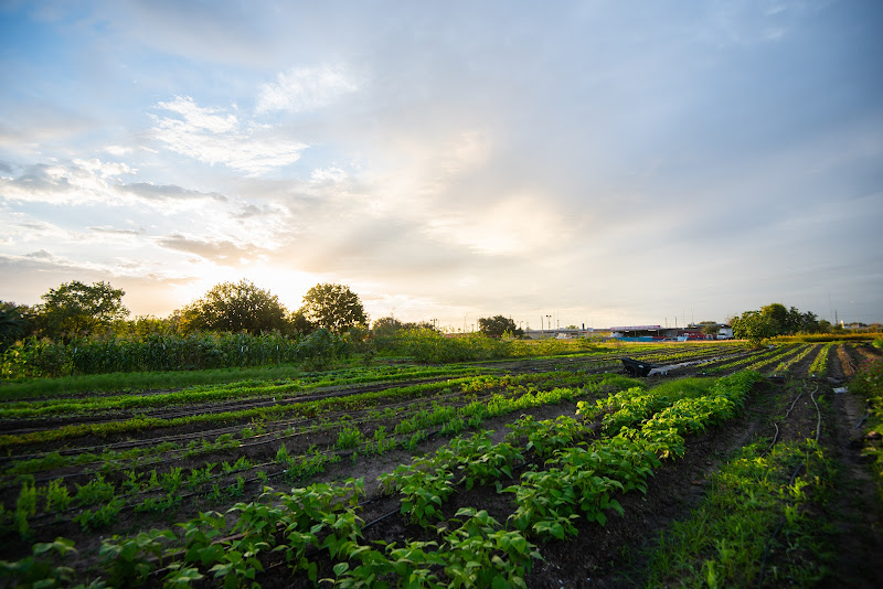 Plant It Forward Warehouse photo 7