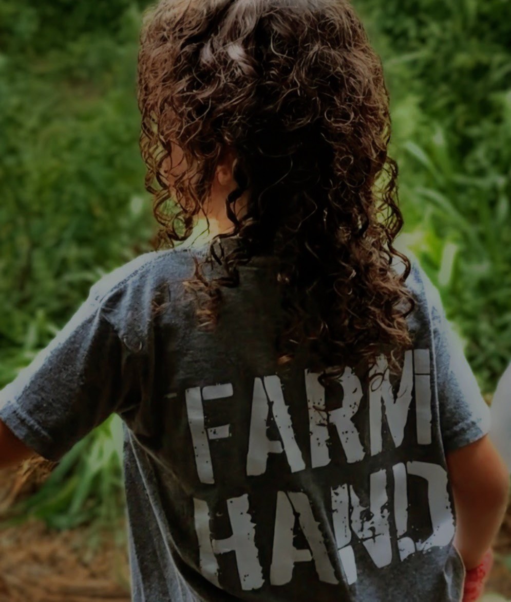 David's Pasture LLC photo 2