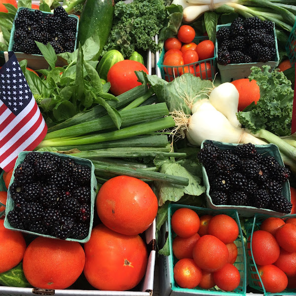 Delvin Farms photo 2