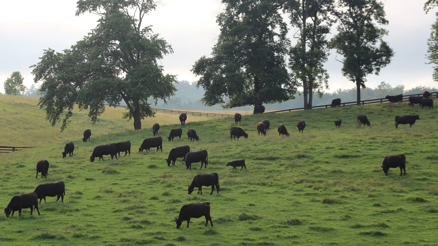 Sherwood Farm photo 17