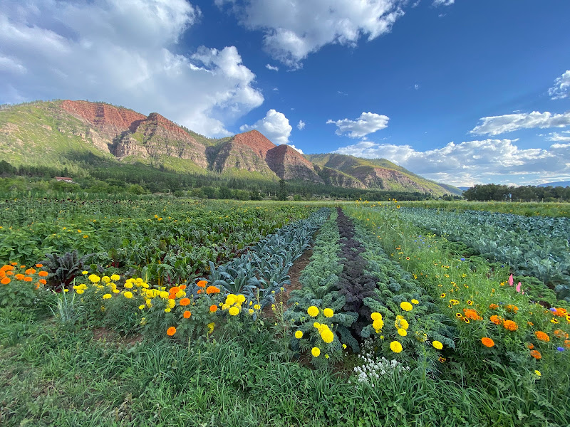 Twin Buttes Farm Stand