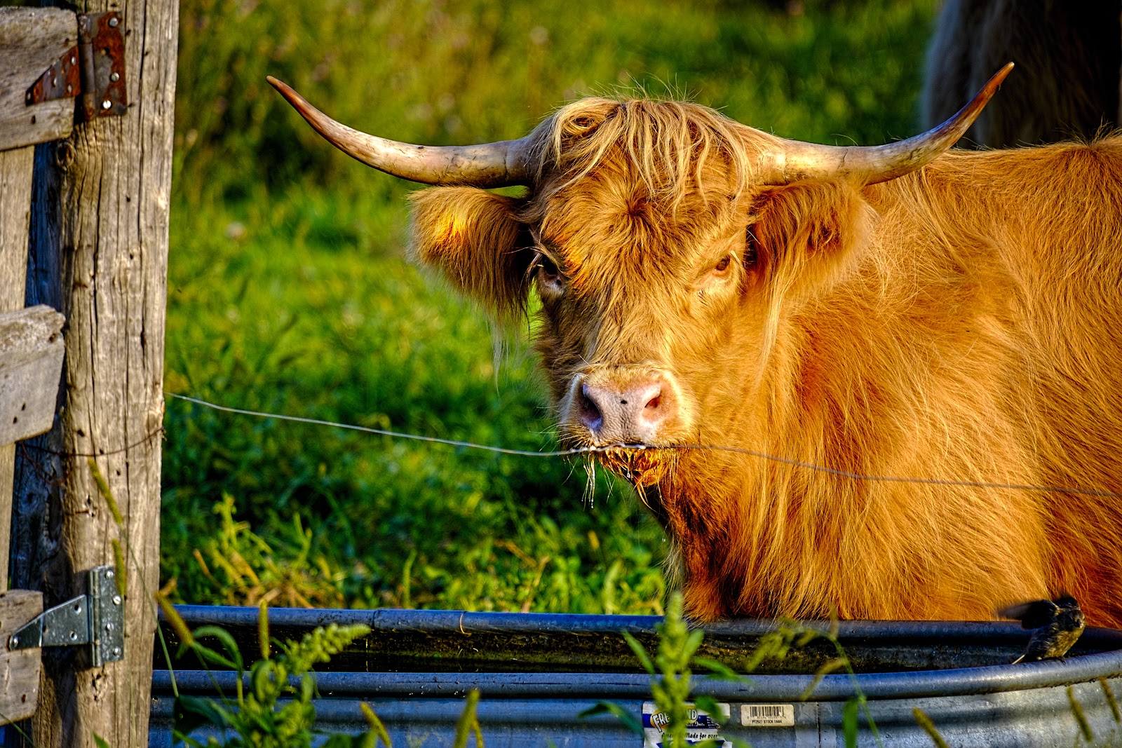 Highland Spring Farm photo 3