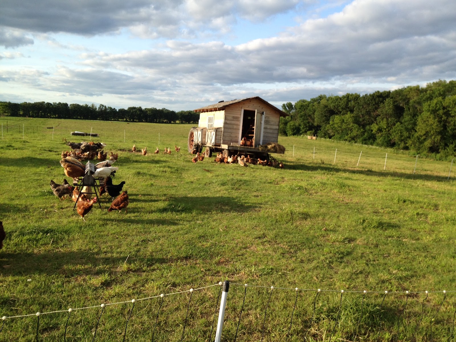 Highland Spring Farm photo 5